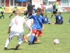 DSC_7703_result