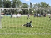 DSC_7775_result